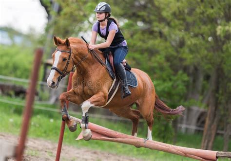 Jeune Jolie Fille Montant Un Cheval Sautant Par Dessus L Obstacle