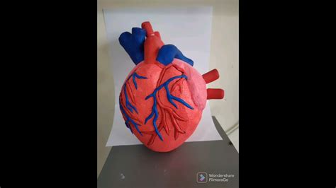 El Corazón Maqueta 3d Youtube