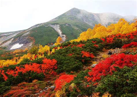 乗鞍紅葉 その2 風景写真春秋