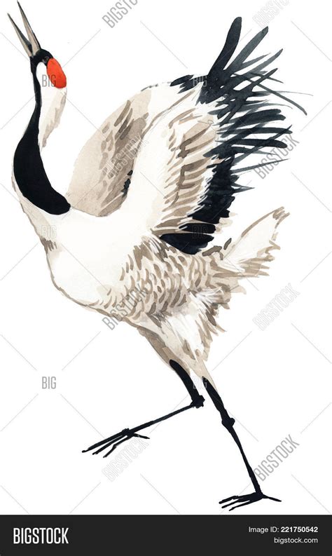 Japanese Crane Drawing