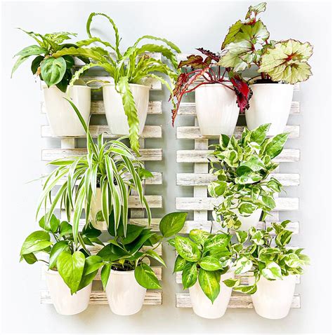 Amazon Shoplala Wooden Wall Planter Pack Wall Hanging