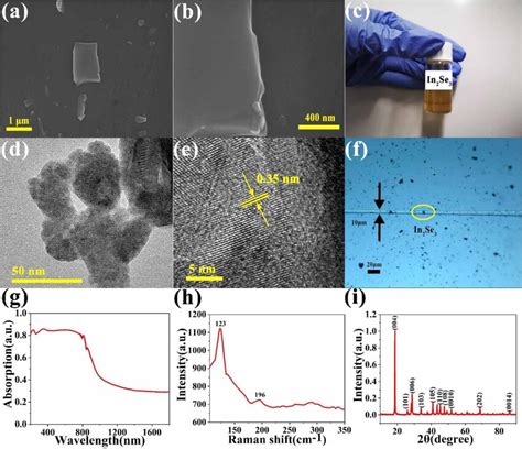 A Scanning Electron Microscopy Sem Image At 1 µm Scale B Sem Download Scientific Diagram