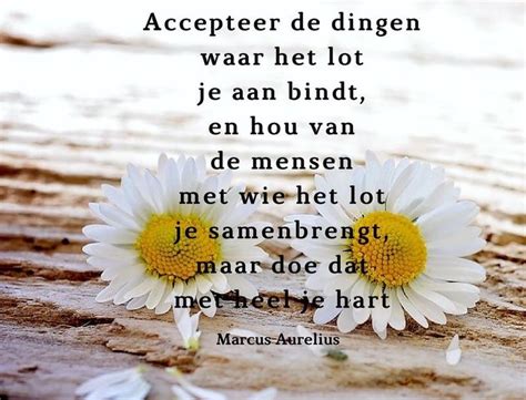 Pin Van Inge Op Mooi Inspirerende Citaten Teksten Citaten