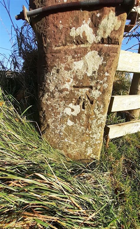 Benchmark On Gatepost At Gateway On Roger Templeman Cc By Sa 2 0