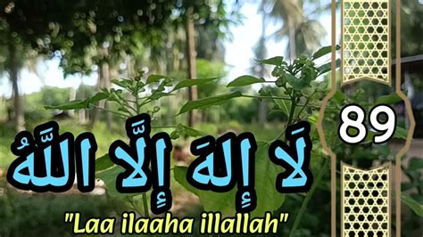 Daily Dhikr Zikr La Ilaha Illallah 1000x Times لَا إِلٰهَ إِلَّا الله