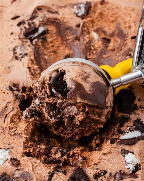 Mississippi Mud Ice Cream Perfect Delight