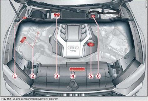 2024 Audi A6 Engine Oil and Fluid User Guide - Auto User Guide