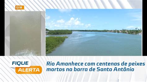 Rio Amanhece Centenas De Peixes Mortos Na Barra De Santo Ant Nio