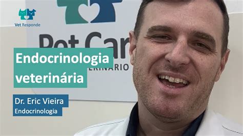 Vet Especialidades Endocrinologia Veterinária Dr Eric Vieira YouTube