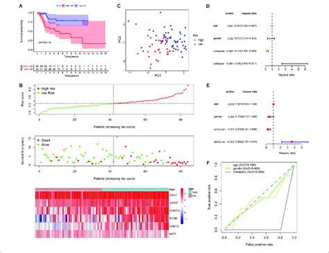 Evaluation Of The Metabolic Gene Signature A Kaplan Meier Curves