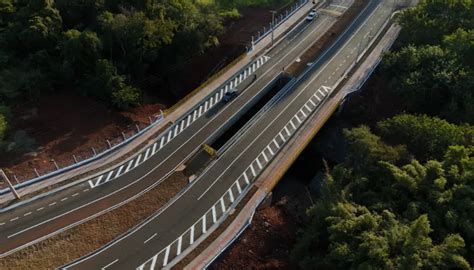 Tr Fego De Ve Culos Na Nova Ponte Da Av M Rio Jos De Faria Ferraz