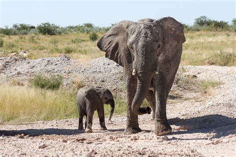 Img Etosha Np Jutta Monhof Flickr