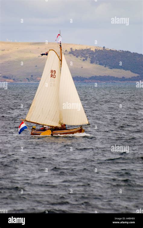 A Traditional Dutch Gaff Rigged Sail Boat Sailing On The Derwent River