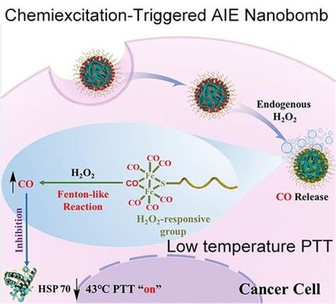 用于一氧化碳促进低温光热治疗的 H2O2 响应 NIR II AIE 纳米弹 Angewandte Chemie International