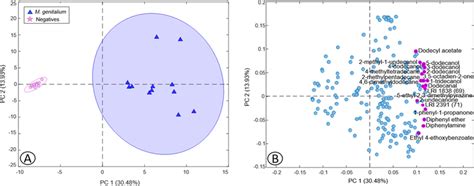 Scores A And Loadings B Plots Of Two Pcs Obtained By Pca Based On