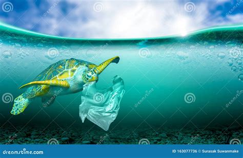 Plastic Pollution in Marine Environmental Problems Animals in the Sea ...