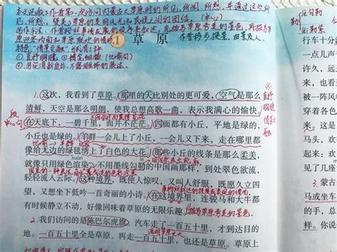 语文草原课文（小学六年级语文草原笔记） 搞机pro网