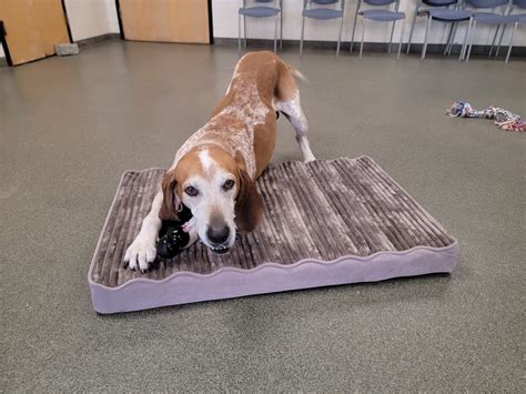 Cloud technology will modernize connecticut prisoner lookup databases next year 10