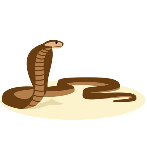 Snake Vector Png At Getdrawings Free Download