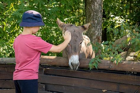 Grodno Bielorrusia De Agosto De Ni O En Panam Acariciando Un