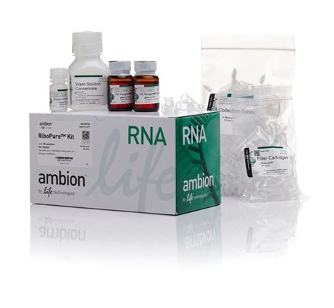 Genejet Rna Purification Kit Protocol