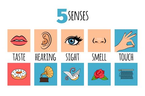 Five Senses Symbols