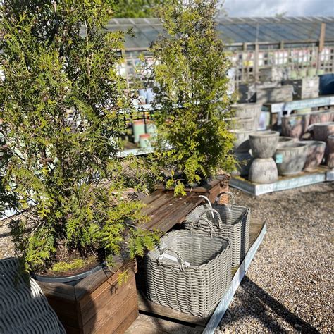 Paddock Farm - ‼️ 15% off Salix Planters ‼️ 🤩 We have a...