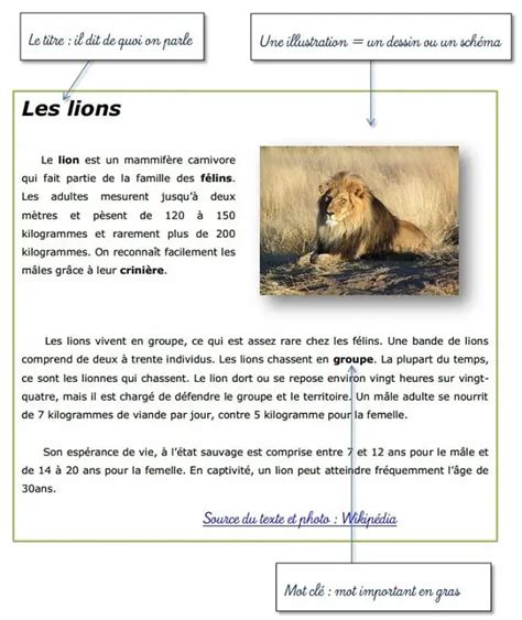 Rep Rer Les Informations Essentielles Dans Un Texte Documentaire