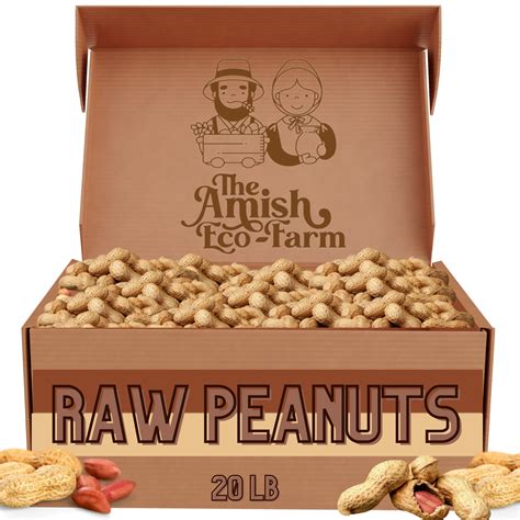 Buy The Amish Eco Farm Fancy Size Bulk Raw Peanuts In Shell