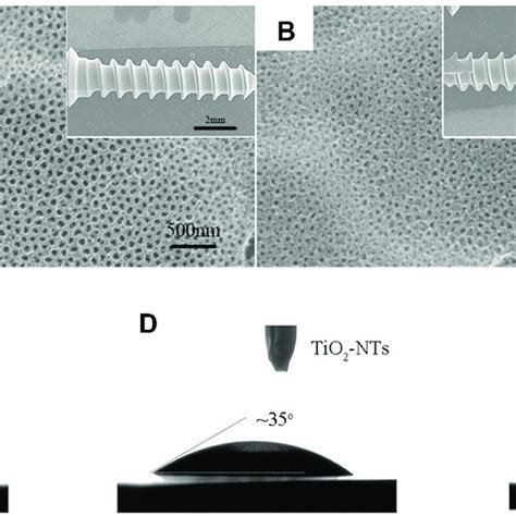 Pdf Enhanced Osseointegration Of Titanium Implants By Surface Modification With Silicon Doped