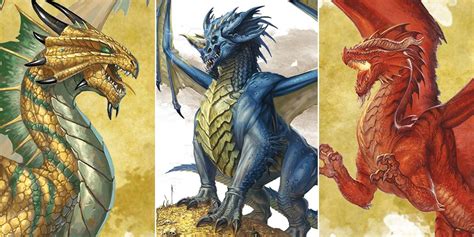 The Meaning Of Every Dragon Color In Dnd