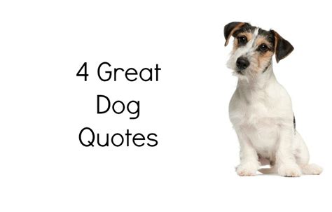 4 Great Dog Quotes | Pet Hooligans