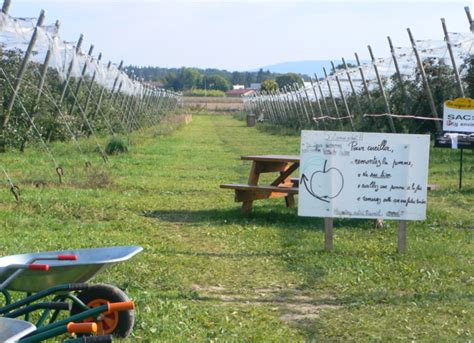 Les Vergers De Rioz Rioz Haute Sa Ne Bienvenue La Ferme