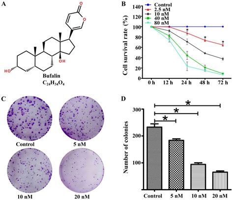 Bufalin Suppresses The Proliferation And Metastasis Of Renal Cell