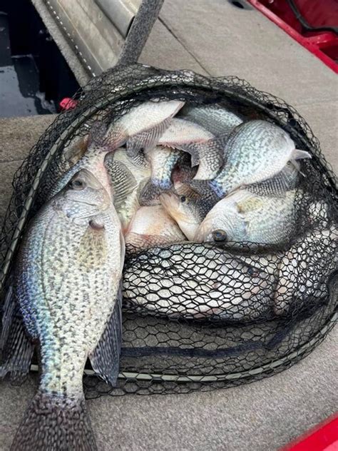 Lake Hartwell Fishing Report February 17th 2023 - Lake Hartwell Fishing ...