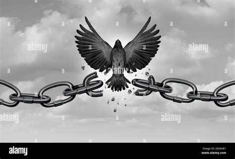 Download this stock image: Freedom metaphor as a symbol of liberty and as a concept of chains ...