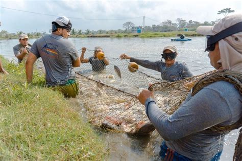 Exigen Mexicanos Saber El Origen Y El Trayecto De Los Pescados Y