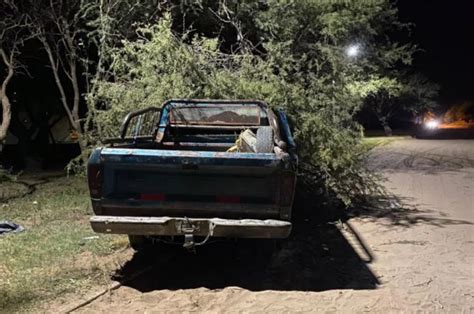 Manejaba alcoholizado y chocó contra un árbol en Toay El Diario de