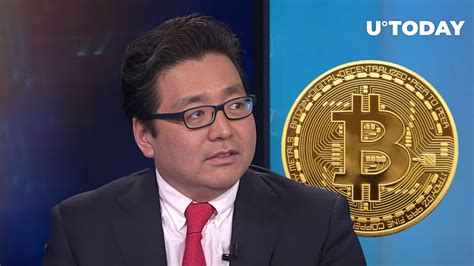 Tom Lee Makes Astonishing Bitcoin Btc Price Prediction