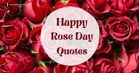 70 Best Happy Rose Day Quotes Wishes Messages Images