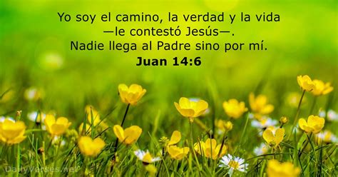 Juan 14 6 Versículo de la Biblia DailyVerses net