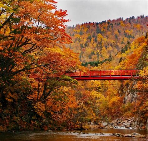 Niseko Hokkaido Autumn Scenery