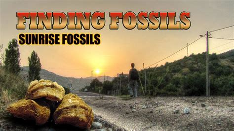 Finding Fossils Sunrise Fossils Youtube