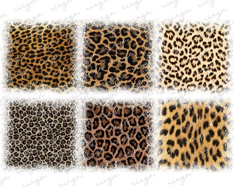 Distressed Leopard Background Png Bundle Background Splash Etsy