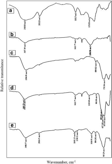 The Fourier Transform Infrared Ft Ir Spectroscopy Of A Starch B The Download Scientific