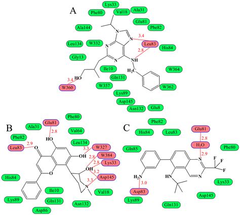 Ijms Free Full Text Insights On Structural Characteristics And