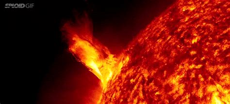 Solar Dynamics Observatory Sun GIF - Find & Share on GIPHY