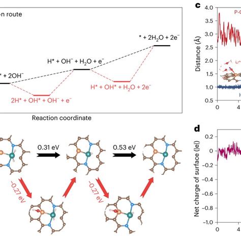 Theoretical Calculations For The Overall HOR Process On Ir1P1 NPG A