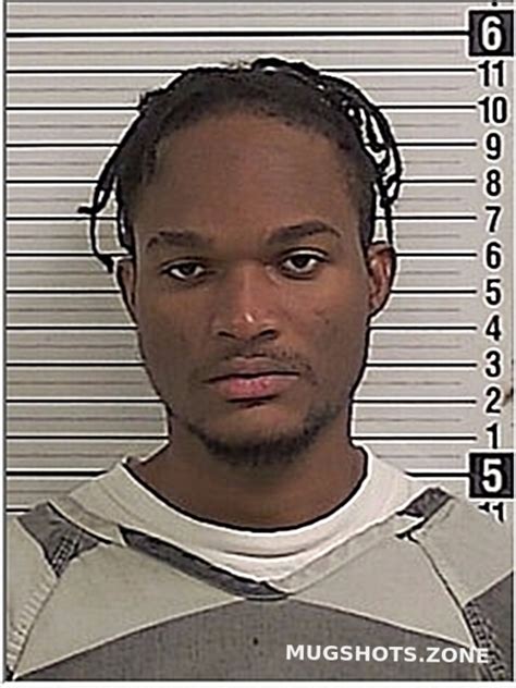 Johnson Dandre Everton Bay County Mugshots Zone