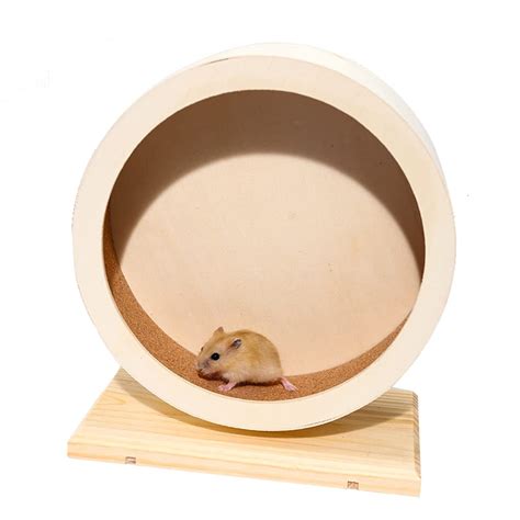 Dwarf Hamster Running On Wheel